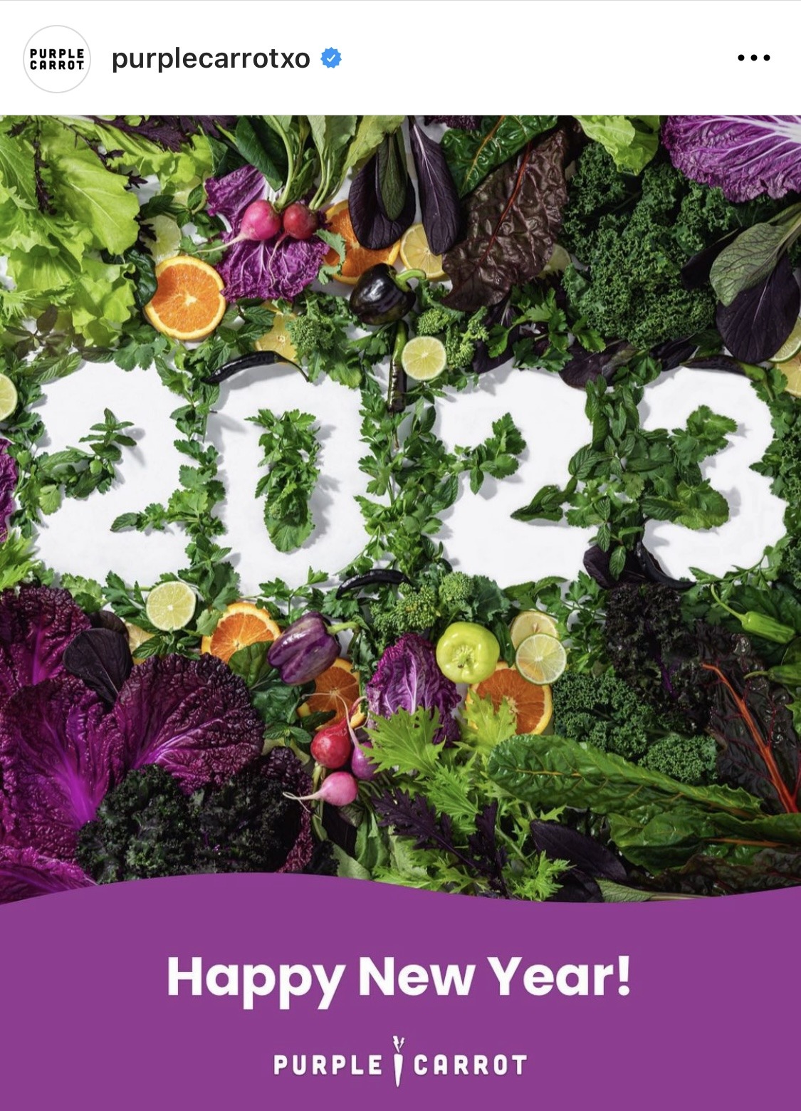 boston food photographer content creator lisa czech purple carrot new year 2023